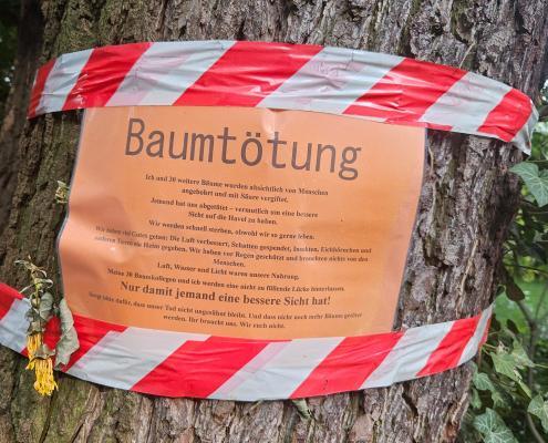 Aushang zu Baumtötung in Berlin Gatow